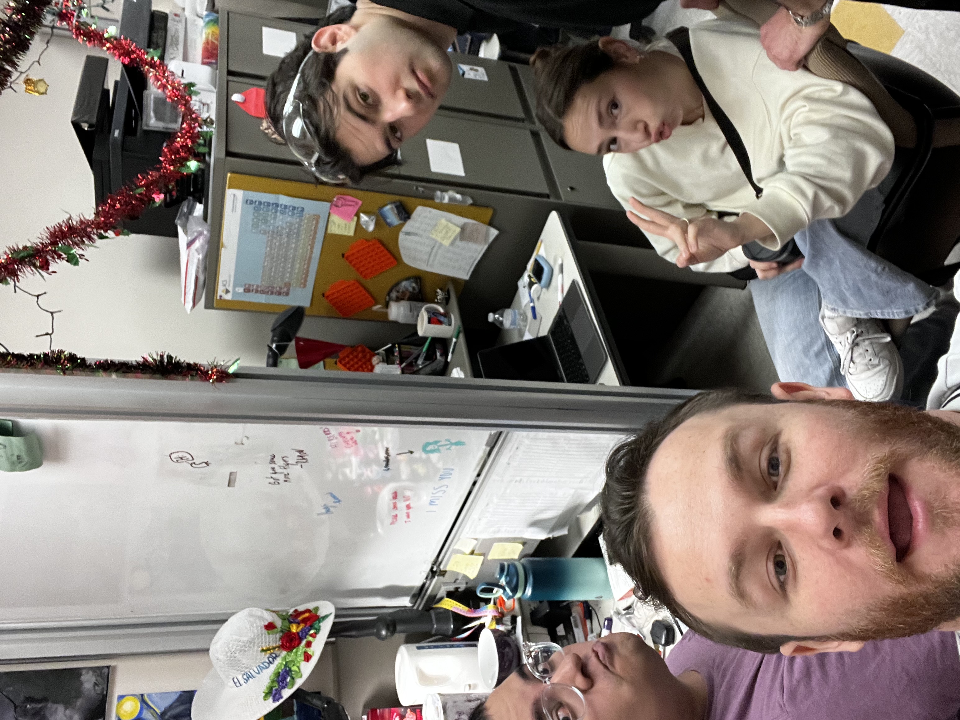 Holiday season in the lab