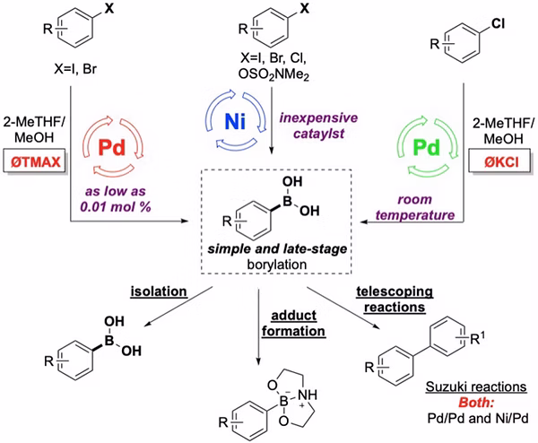 Borylation and Cross-Coupling